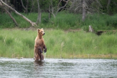 A1_0027-ARW_DxO_DeepPRIMEXD-Edit