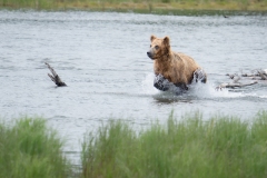 A1_0143-ARW_DxO_DeepPRIMEXD-Edit