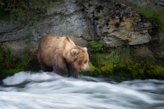 A1_0345-ARW_DxO_DeepPRIMEXD-Edit