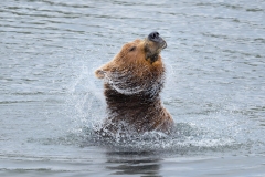 A1_8191-ARW_DxO_DeepPRIME-Edit