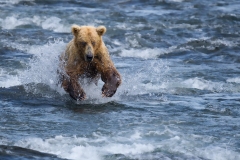 A1_8426-ARW_DxO_DeepPRIMEXD-Edit