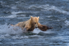 A1_8538-ARW_DxO_DeepPRIMEXD-Edit