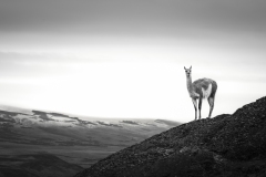 A1_5263-Edit