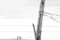 A1_1694-Edit