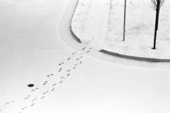 Walking-in-the-snow