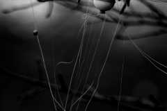 XH10260-Edit