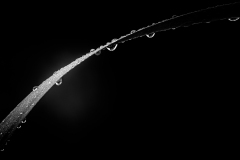 XH11146-Edit