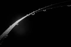 XH11146-Edit