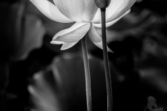 XT20087-HDR-Edit