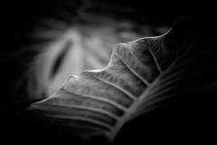 XT29769-HDR-Edit