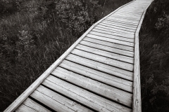 IMG_0889-Edit