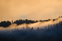 Kila-Valley-Fog-3