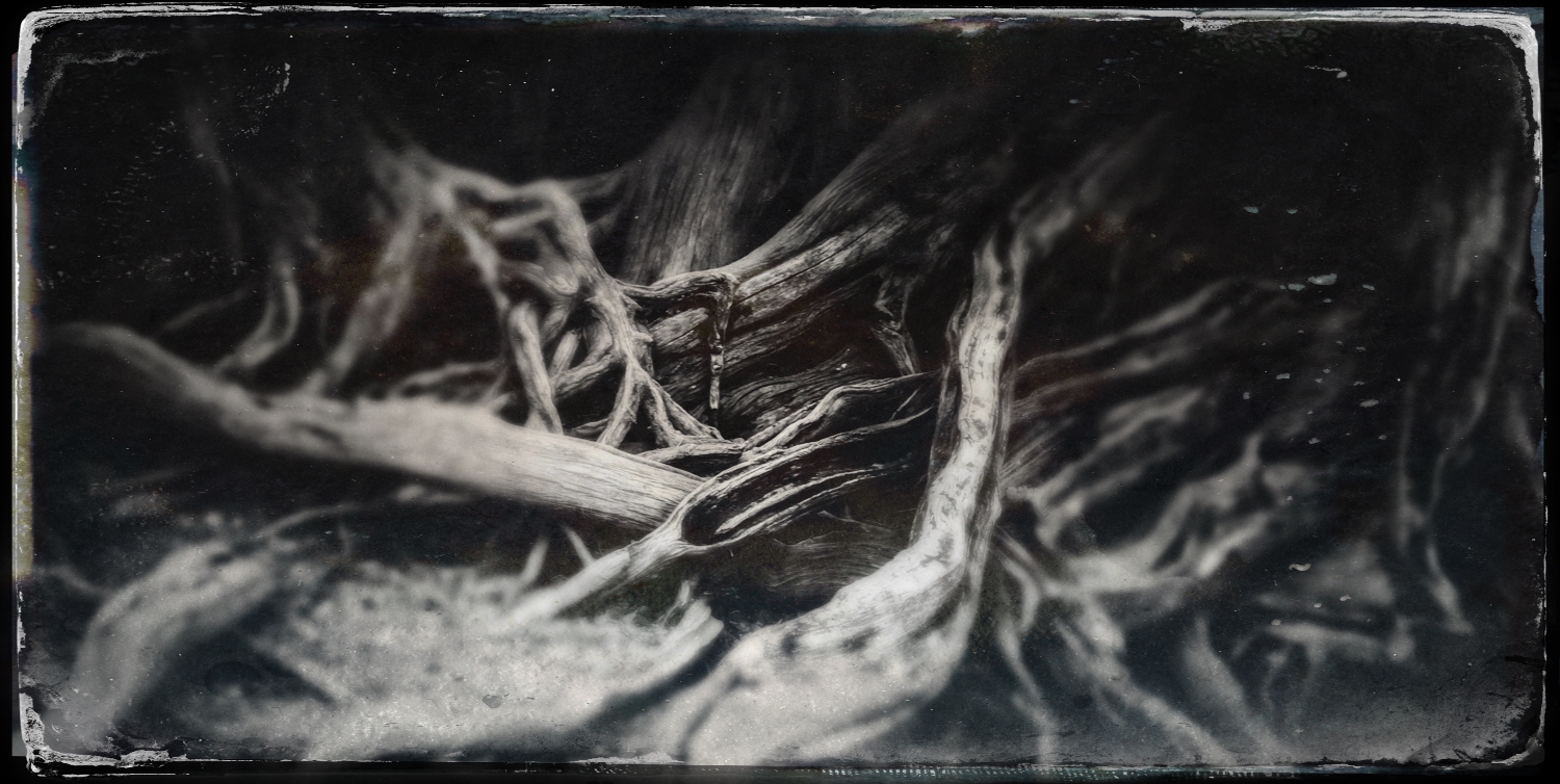 My-TinType-by-Hipstamatic-12